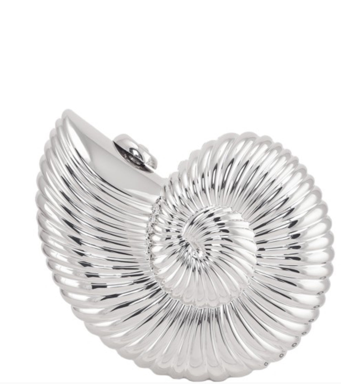 Seashell Bag